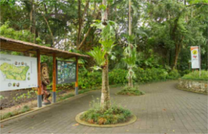 Port-Moresby-Nature-Park-300x194