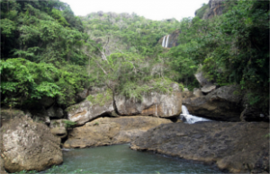 Varirata-National-Park-300x194